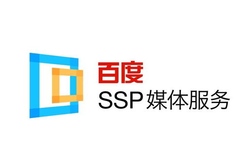 蜘蛛池搭建要点