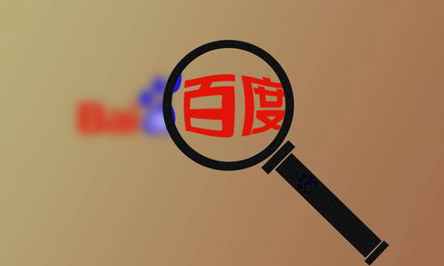 seo蜘蛛池系统外推